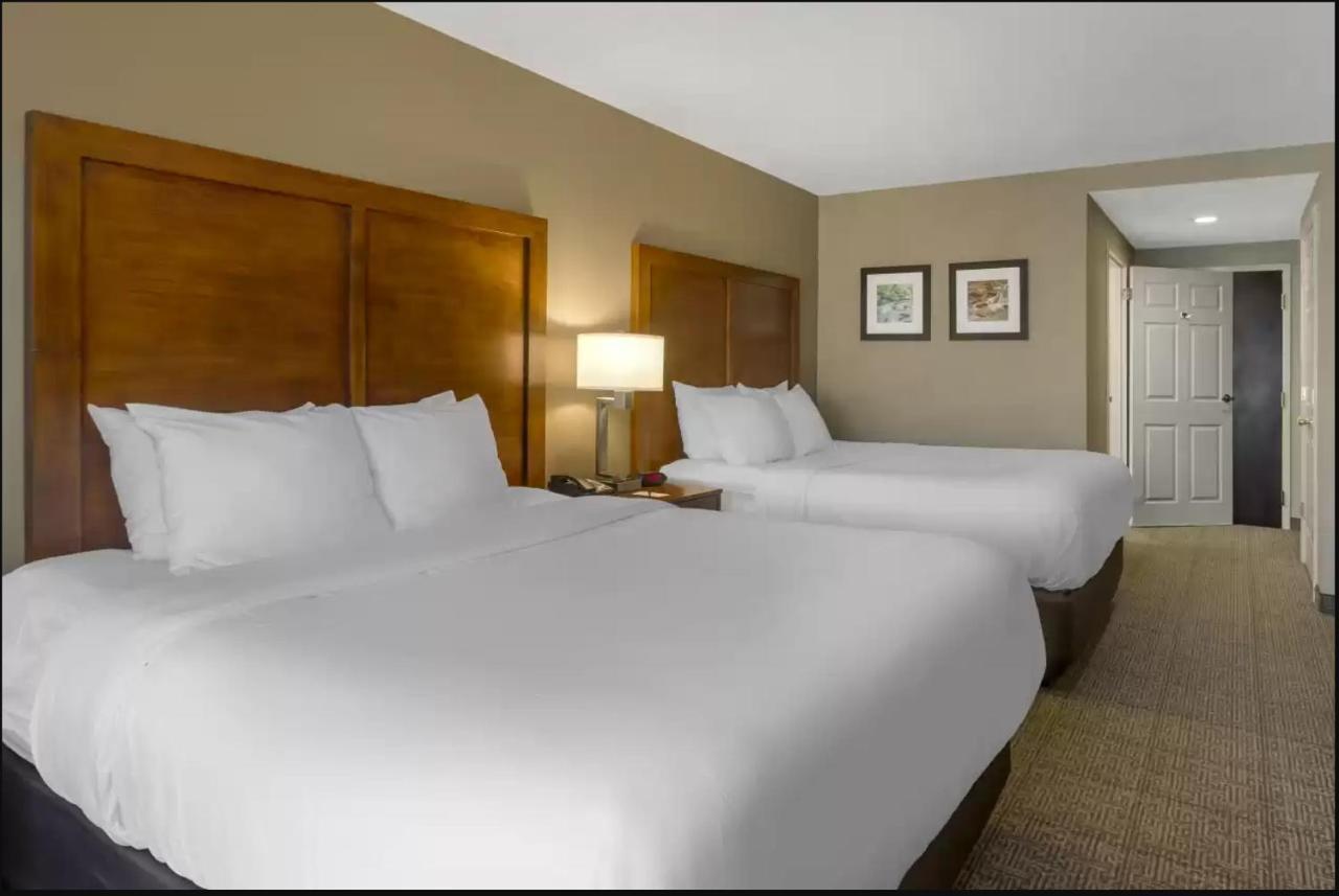 Comfort Inn & Suites Peachtree Corners Norcross Exteriör bild